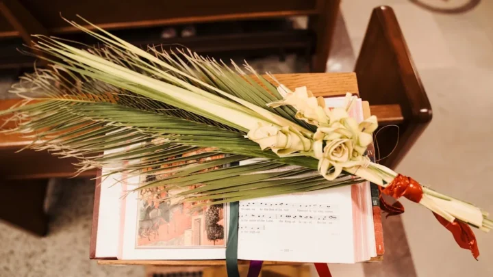 A peaceful spring morning scene evoking a warm Palm Sunday greeting